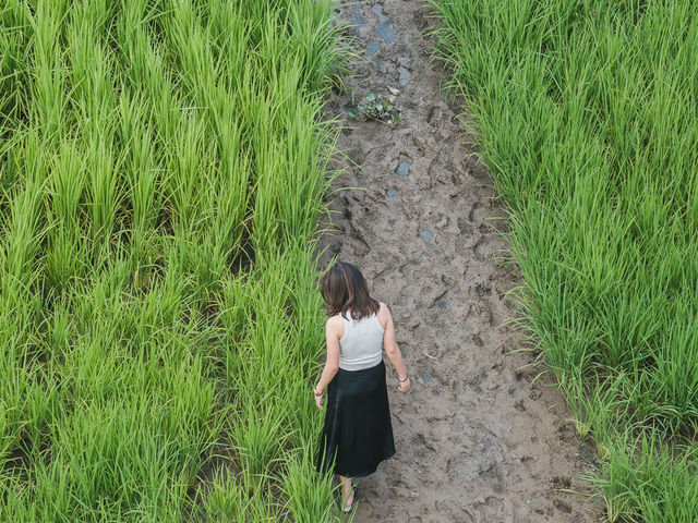 PHATTHALUNG 🌱🌤️