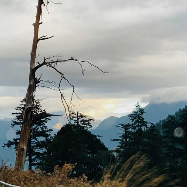 塔關山登山記-南橫三星的最美步道