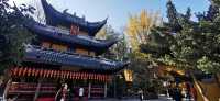 Experience at Longhua Temple