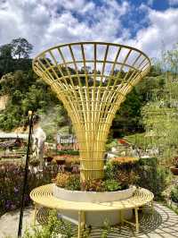 The Climate and Design @Betong Garden