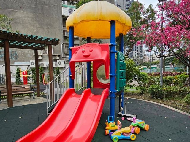 櫻花季限定，台北螢橋公園的親子遊樂時光