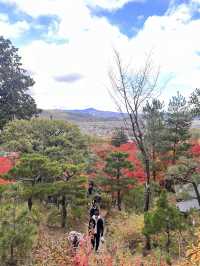 The Everlasting Light of Wisdom in Nirvana — The Jojakko-ji Temple in Arashiyama 
