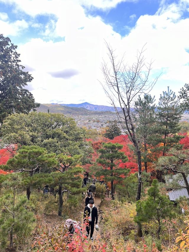 The Everlasting Light of Wisdom in Nirvana — The Jojakko-ji Temple in Arashiyama 