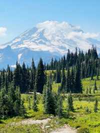 Where Summer Meets Snow – My Journey to Mount Rainier in August