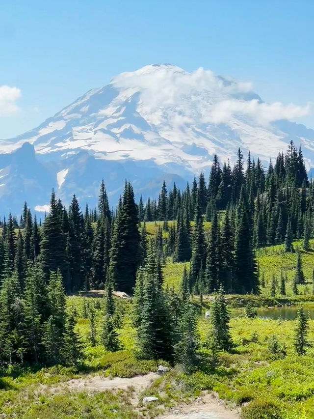 Where Summer Meets Snow – My Journey to Mount Rainier in August