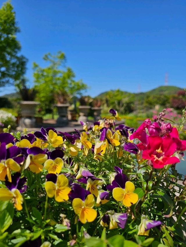 深山イギリス庭園