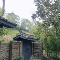 Timeless Charm at Langzhong Ancient Town 🇨🇳