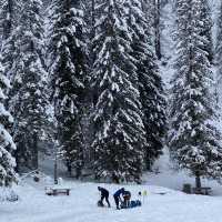 Snowshoeing in the Dolomites: A Winter Wonderland Adventure