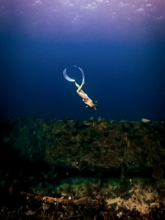 🇮🇩 길리 스노클링 포인트 총정리🐠✨