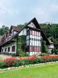 I’m Lost in the Tudor World! Too beautiful…
