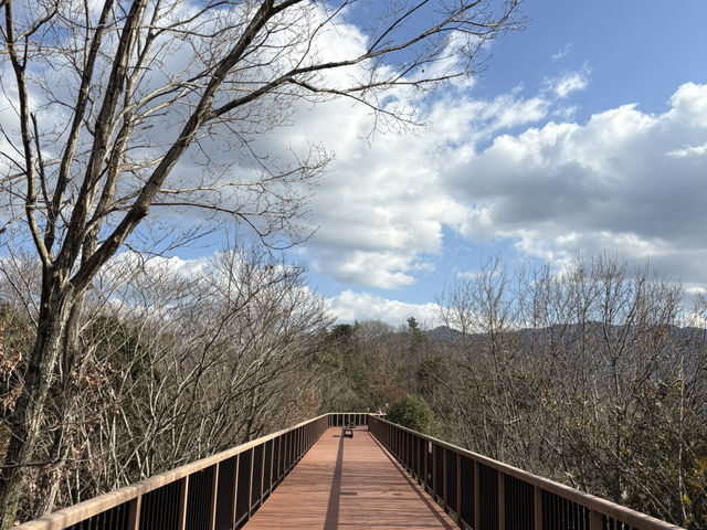 國營讚岐滿濃公園