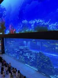 Dubai Mall: The Ultimate Shopping and Entertainment Destination