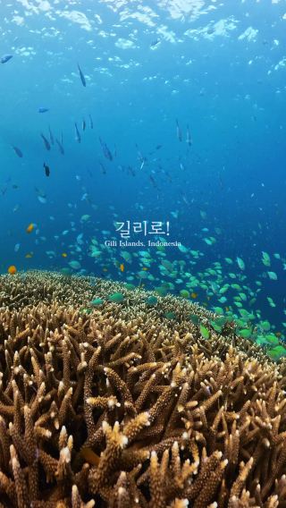 가성비 확실하게 챙긴 길리 3박 4일 경비 총정리+꿀팁💡
