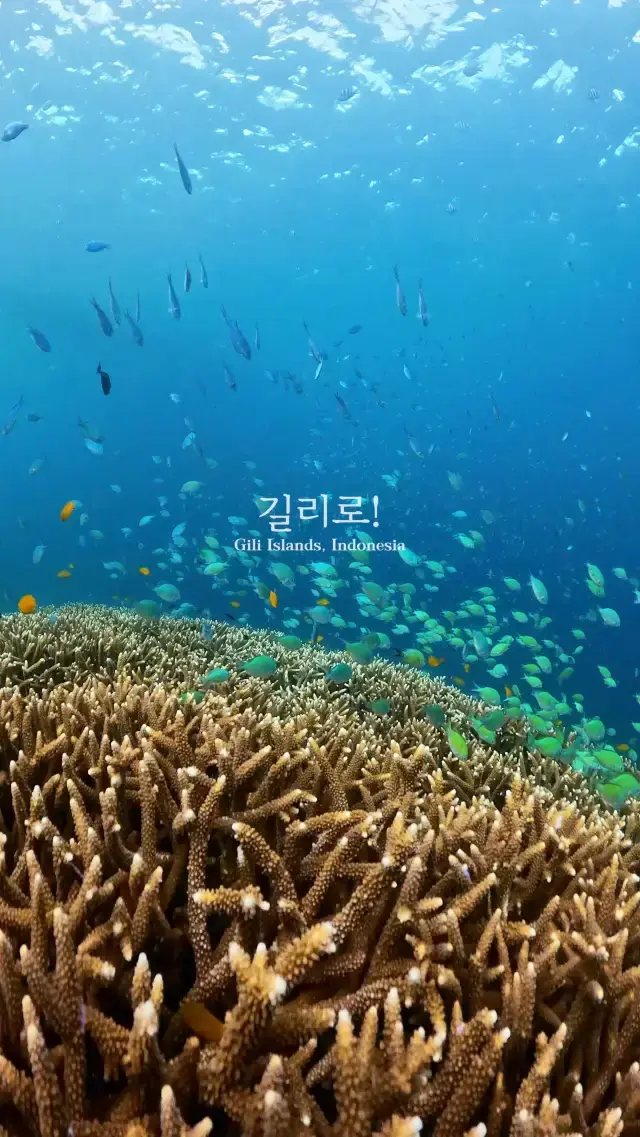 가성비 확실하게 챙긴 길리 3박 4일 경비 총정리+꿀팁💡