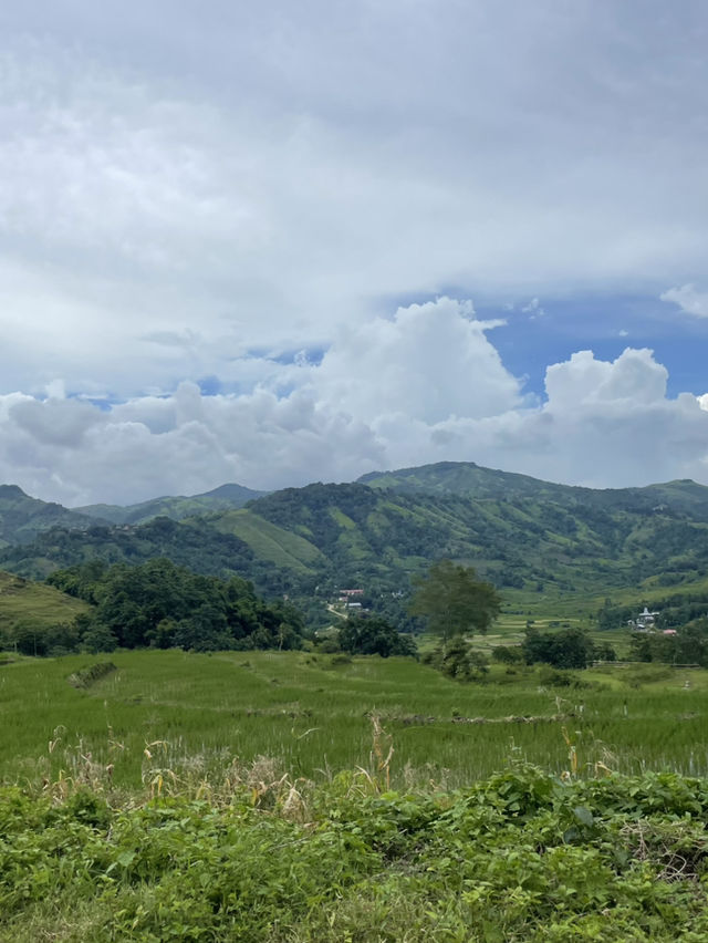 A Scenic Drive to Pantai Palamoko: Rice Fields, Villages, and Coastal Views 🛵🌾🌊 