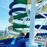 Voyager of the Seas: A Floating Wonderland