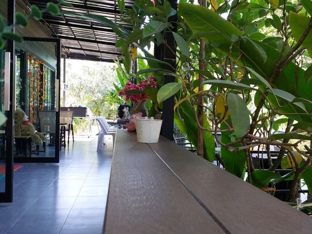 เบื่อความวุ่นวายมานั่งคาเฟ่ทานอาหารในสวนต้นไม้