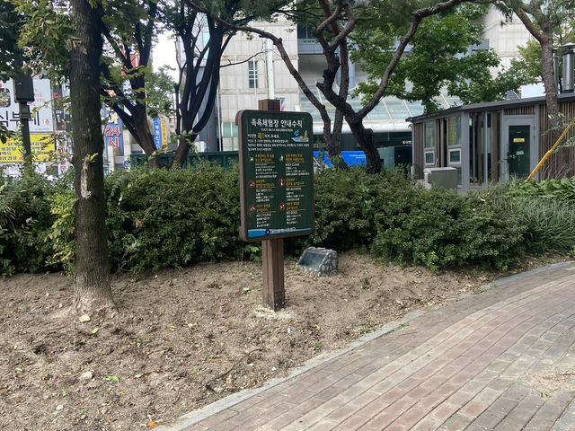 대전 유성온천, 뜨끈한 온천 여행