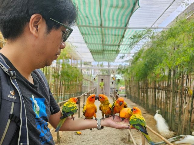Batam Trip