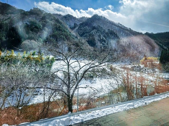 【高山】JR特急ひだで景観良い席を安く取る方法