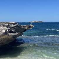 ロットネスアイランド🏝️🇦🇺