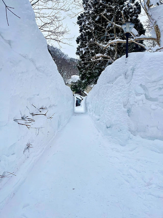 【保存版】超お得🤣キュンパス❤で行く東北３県日帰り旅😍