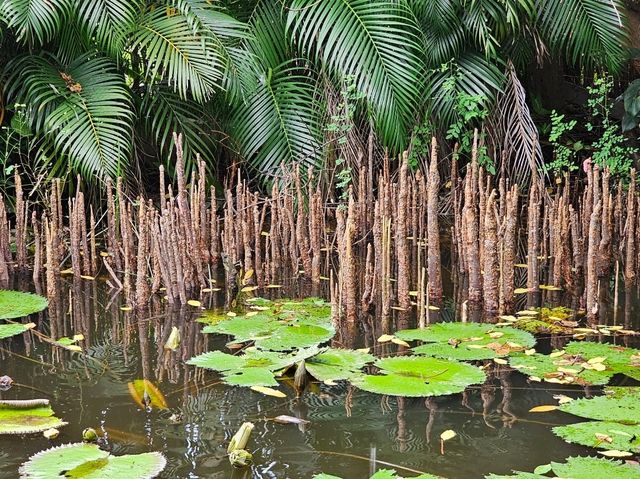 เรือมอญ ริมสวน