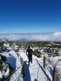 || 한라산 || 남한에서 가장 높은 곳에서 설경을 즐기세요 ❄️🗻