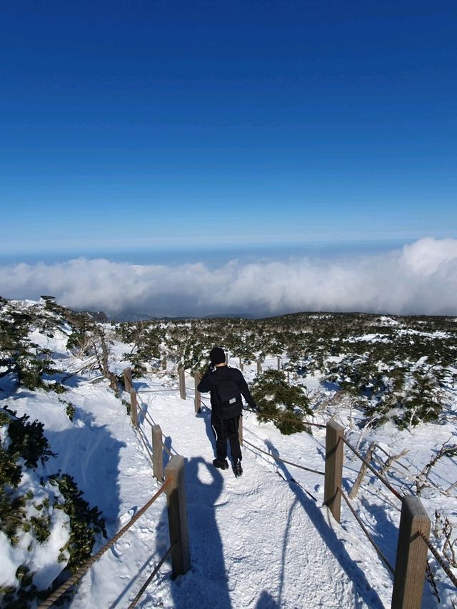 || 한라산 || 남한에서 가장 높은 곳에서 설경을 즐기세요 ❄️🗻