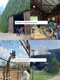 เขาใหญ่ 2 วัน 1 คืน ไปไหนดี