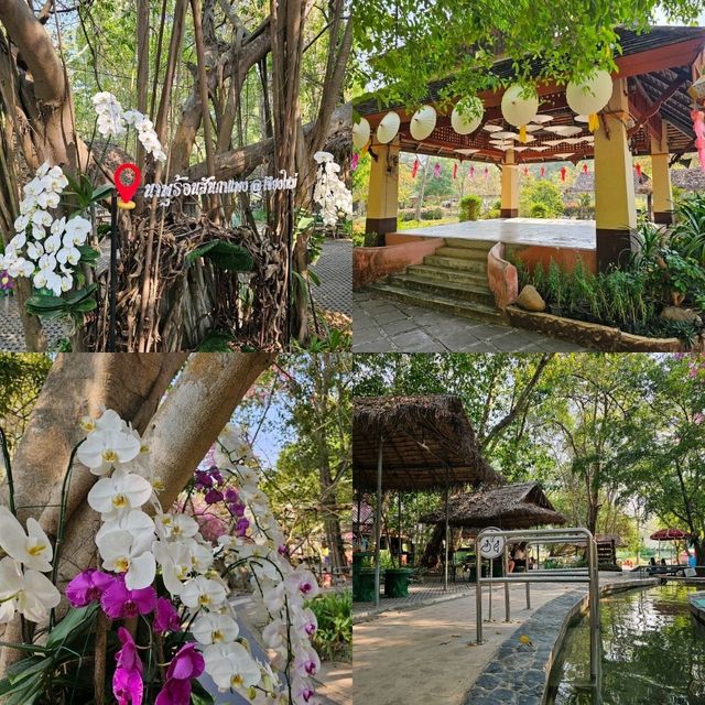 น้ำพุร้อน สันกำแพง 💦