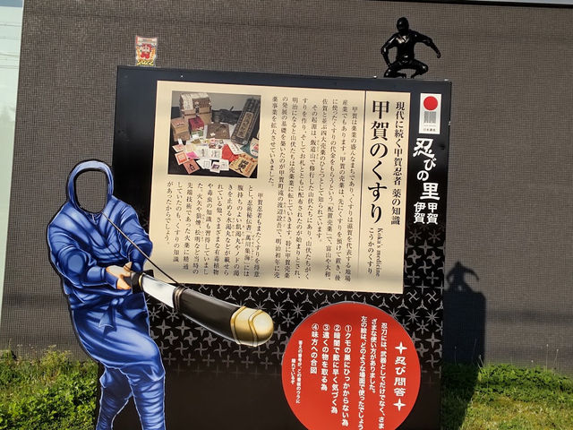 ポケフタ探し🤍【鹿深夢の森】