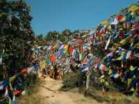 Namobuddha Monastery, Nepal