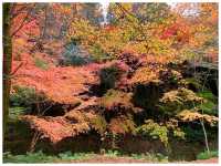 【岐阜/多治見】国宝に指定された観光スポット‼︎＊虎渓山 永保寺 （こけいざん えいほうじ）＊