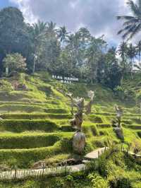 【バリ島】🇮🇩ウブド　テガラランライステラス（プールある方）