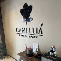 Camellia Matcha Space พัทยา: คาเฟ่มัทฉะอร่อยๆ