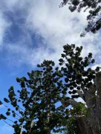Penang Hill – วิวโคตรตึง ธรรมชาติโคตรดี!