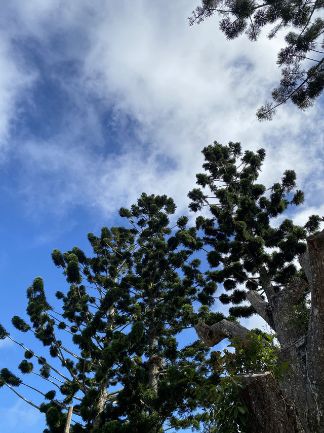 Penang Hill – วิวโคตรตึง ธรรมชาติโคตรดี!