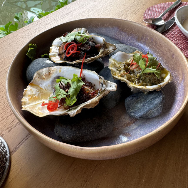 The World is Your  Oyster🦪 