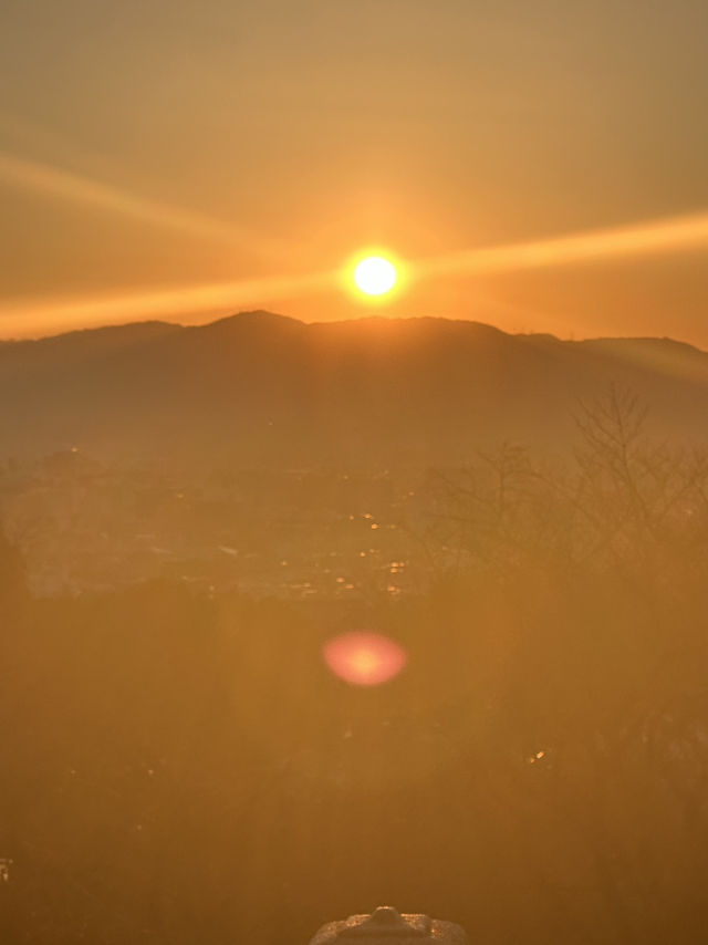 🇯🇵 16 Days in Japan: A Perfect Journey Through Osaka, Kyoto, Mt. Fuji & Tokyo 