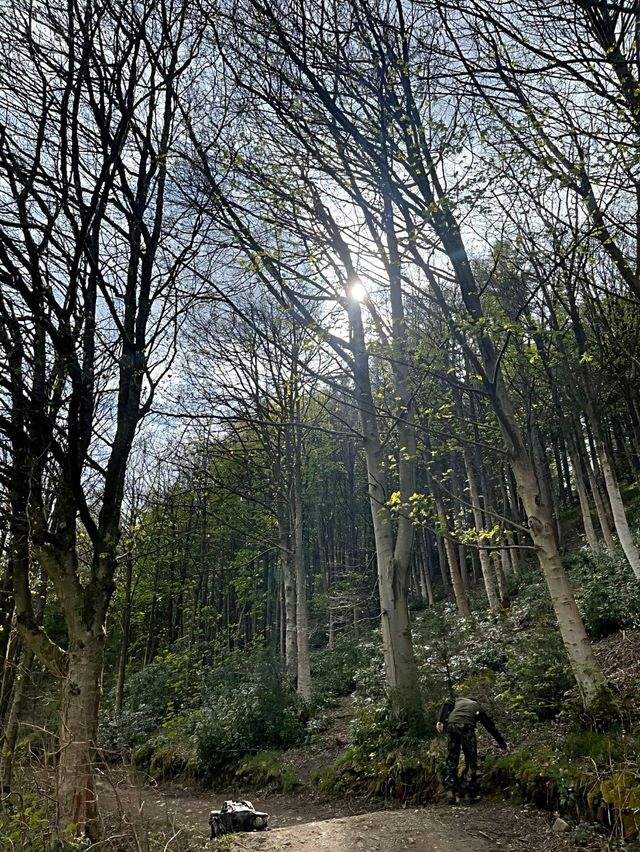 This Spring Just hiked it 🌼