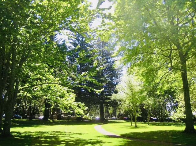 Spring into Nature - Cornwall Park Auckland Hike