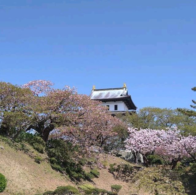 Matsumae Park, Hokkaido