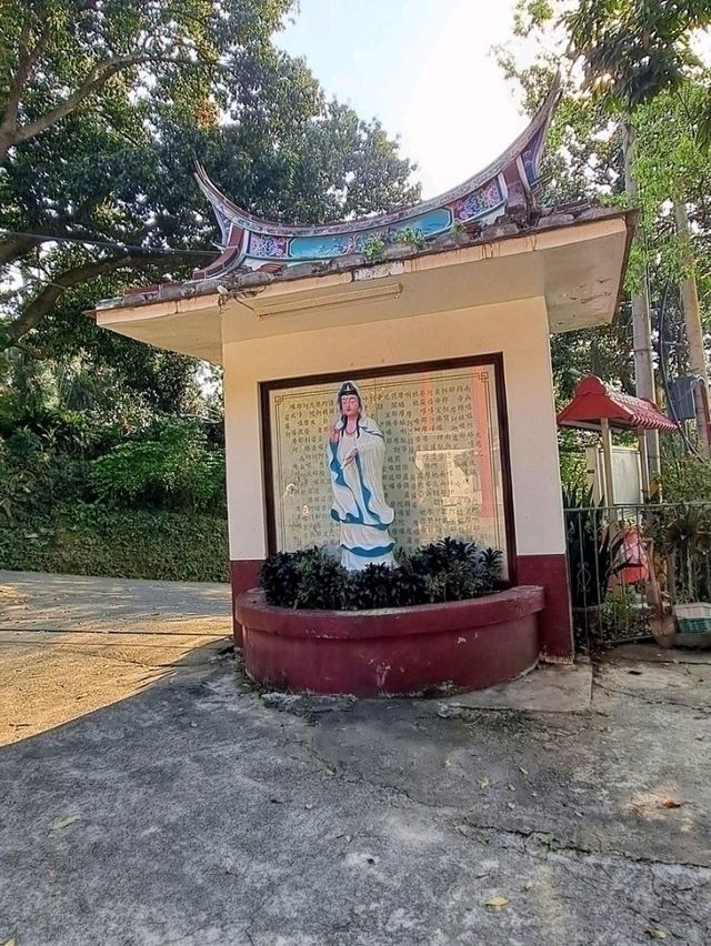 造訪雲谷寺