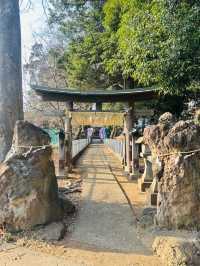 【新座】御朱印が綺麗で可愛い✨穴場神社‼️
