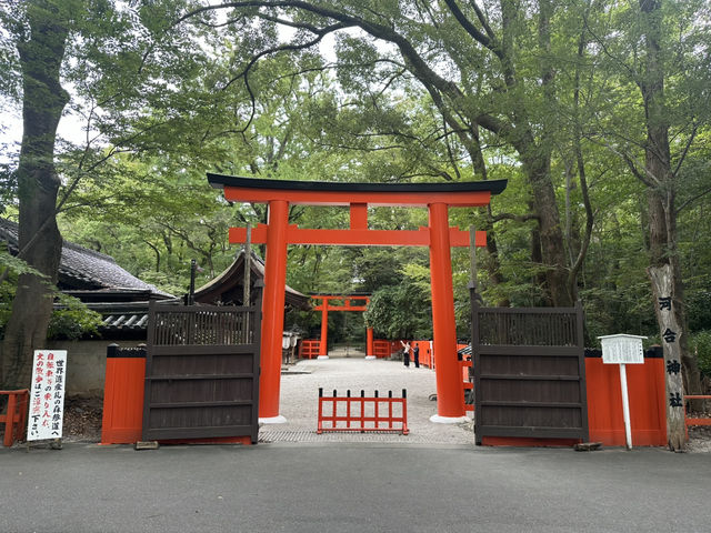 四季變幻中的靈性之旅：探訪京都賀茂御祖神社與其季節御守