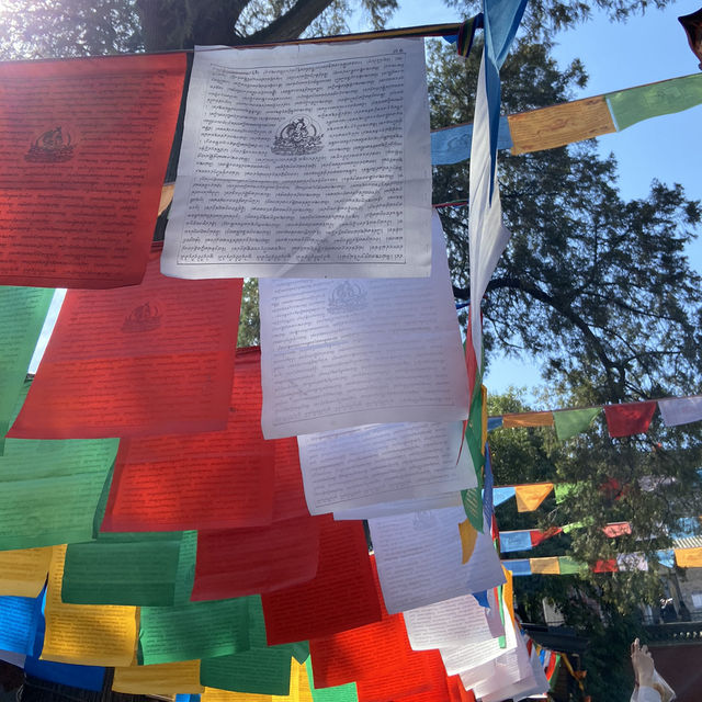 西安唯一的藏傳佛教寺院