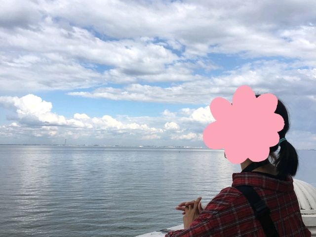 페테르고프에서 보이는 핀란드만