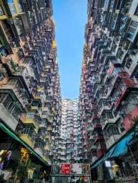 Hong Kong Adventure: 4 Days of Cityscapes, Markets & Skyline Views!🏙