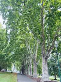 【Super Short Stroll TOUR in Melbourne Day1 】